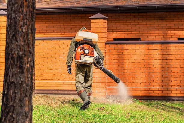 Bed Bug Clearance Verification and Documentation in The Meadows